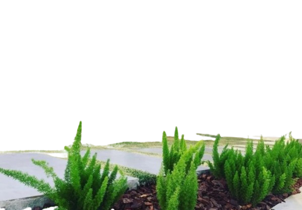 BANNER_SITE-removebg-preview (1)